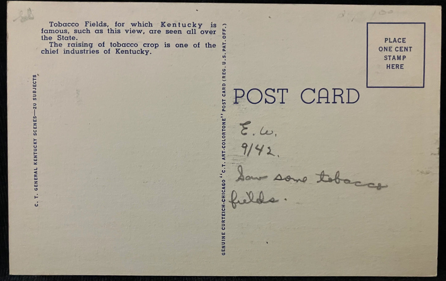 Tobacco Field - "In Old Kentucky" - Caufield & Shook, Louisville - 1940s Linen Postcard