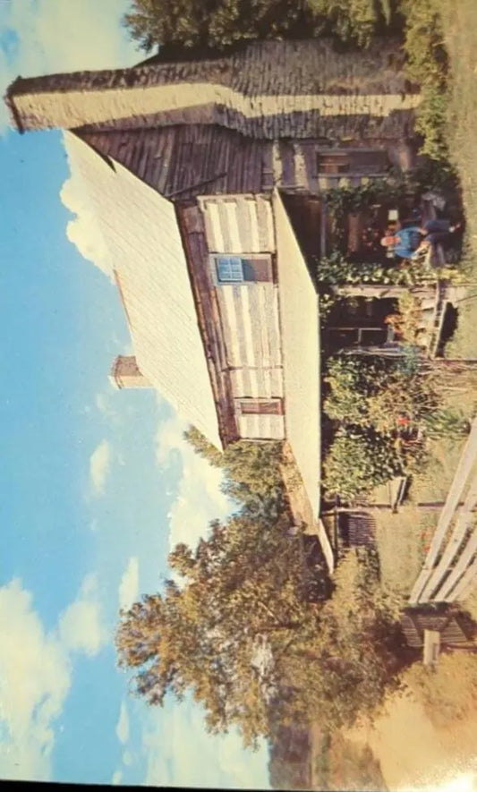 Picturesque Mountain cabins in Tennessee - Vintage Postcard