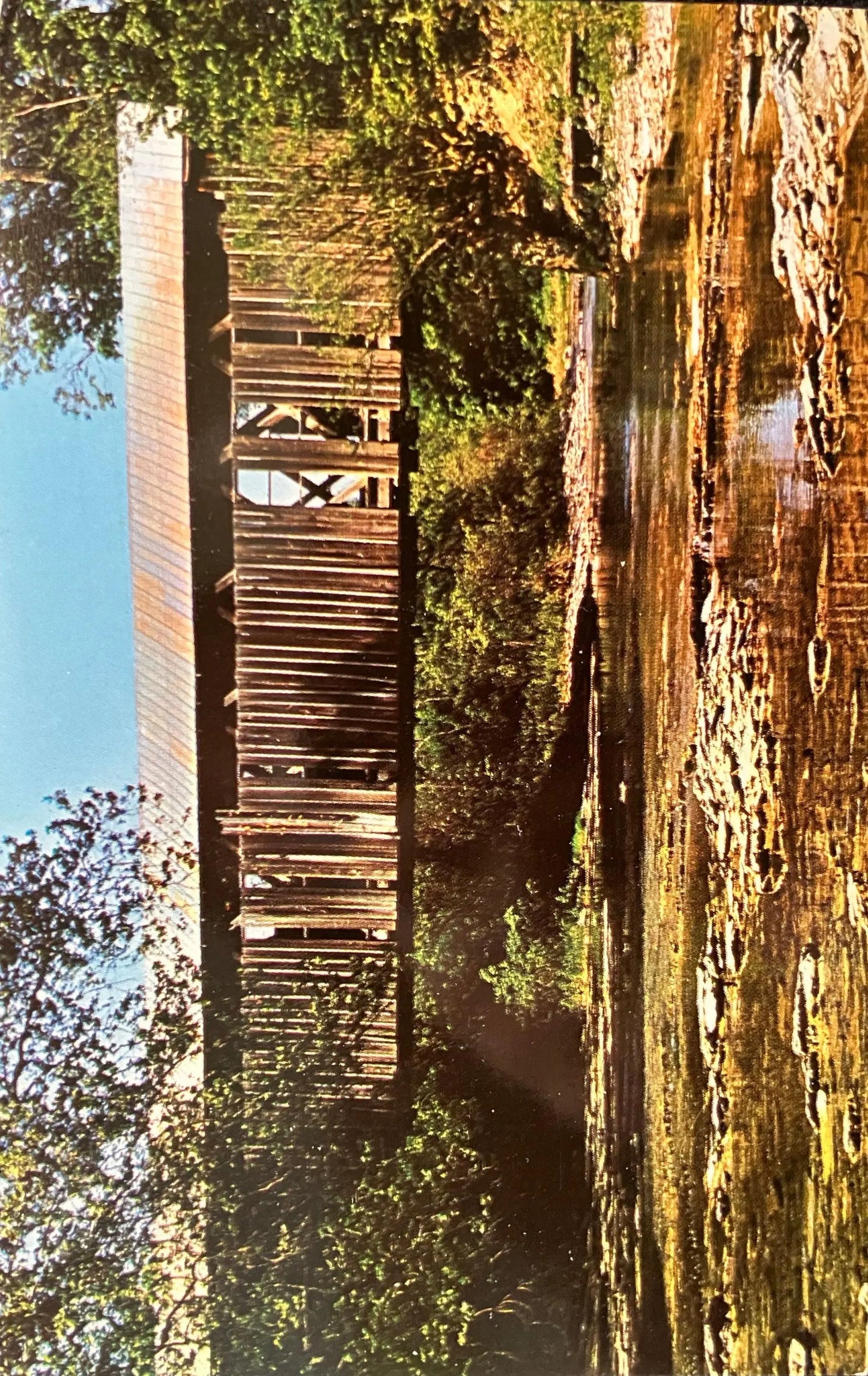 Covered Bridge - Ohio - George Miller Road Bridge - Photo by Anita Knight - Vintage Ohio Covered Bridge Postcard