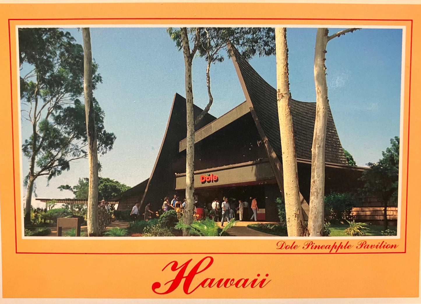 Dole Pineapple Pavilion in the Wahiawa District, Hawaii - Photo by B. Chalifour - Vintage Postcard