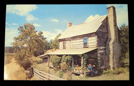 Picturesque Mountain cabins in Tennessee - Vintage Postcard