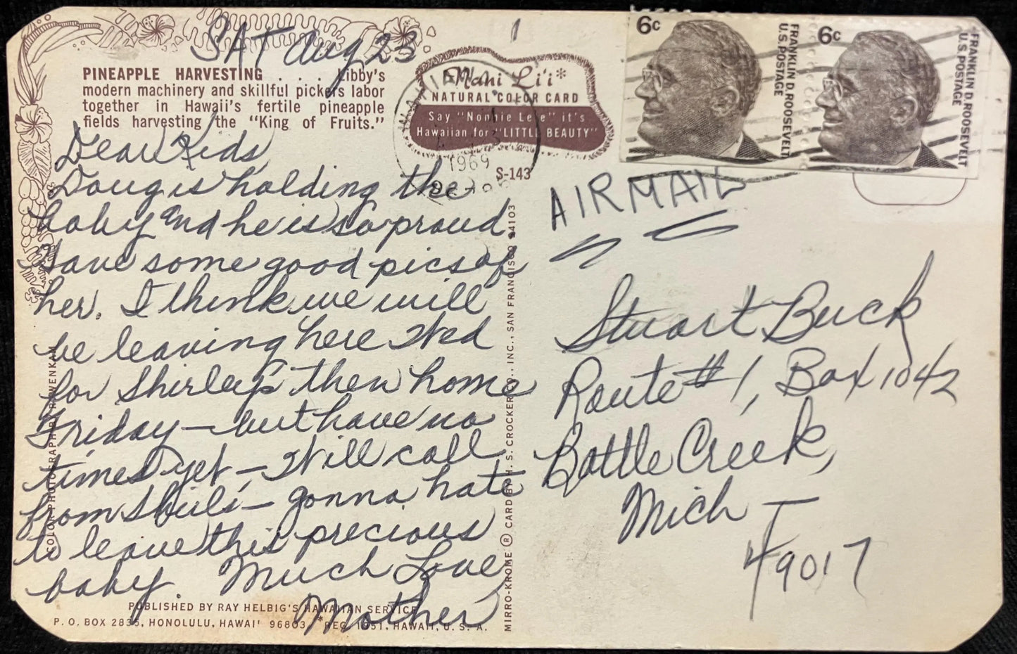 Pineapple Harvesting - Hawaii - Vintage Postcard