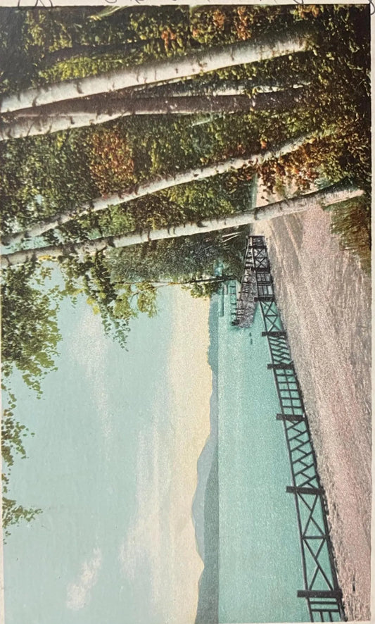 Pine Hurst Road, Lower Saran Lake, Adirondack Mountains - Copyright, 1902, by Detroit Photographic Co. - Vintage Postcard