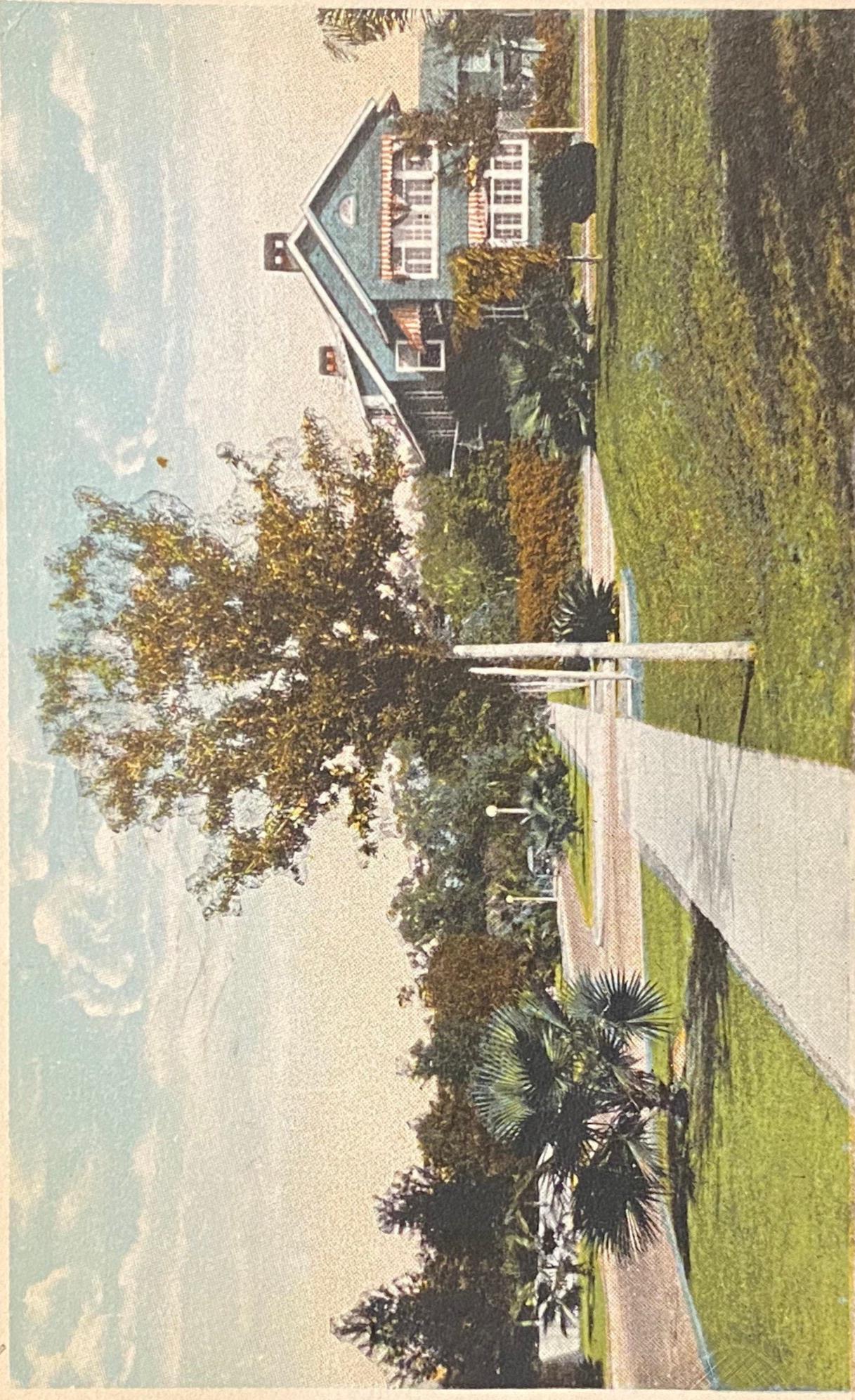 One of the Pretty Streets in Harbor Oaks, Clearwater, Florida - Vintage Postcard