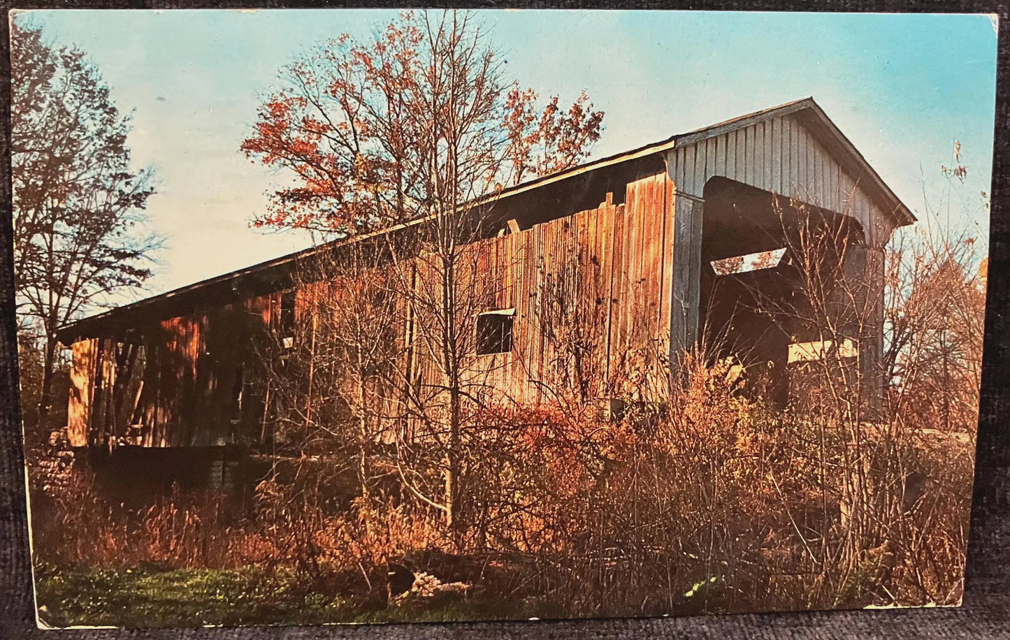 Otter Creek Covered Bridge in Holton, Indiana - Vintage Covered Bridge Postcard