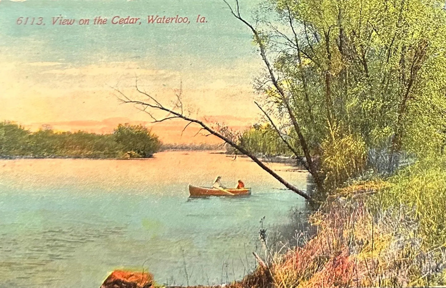 View on the Cedar - Waterloo, Iowa- Vintage Postcard