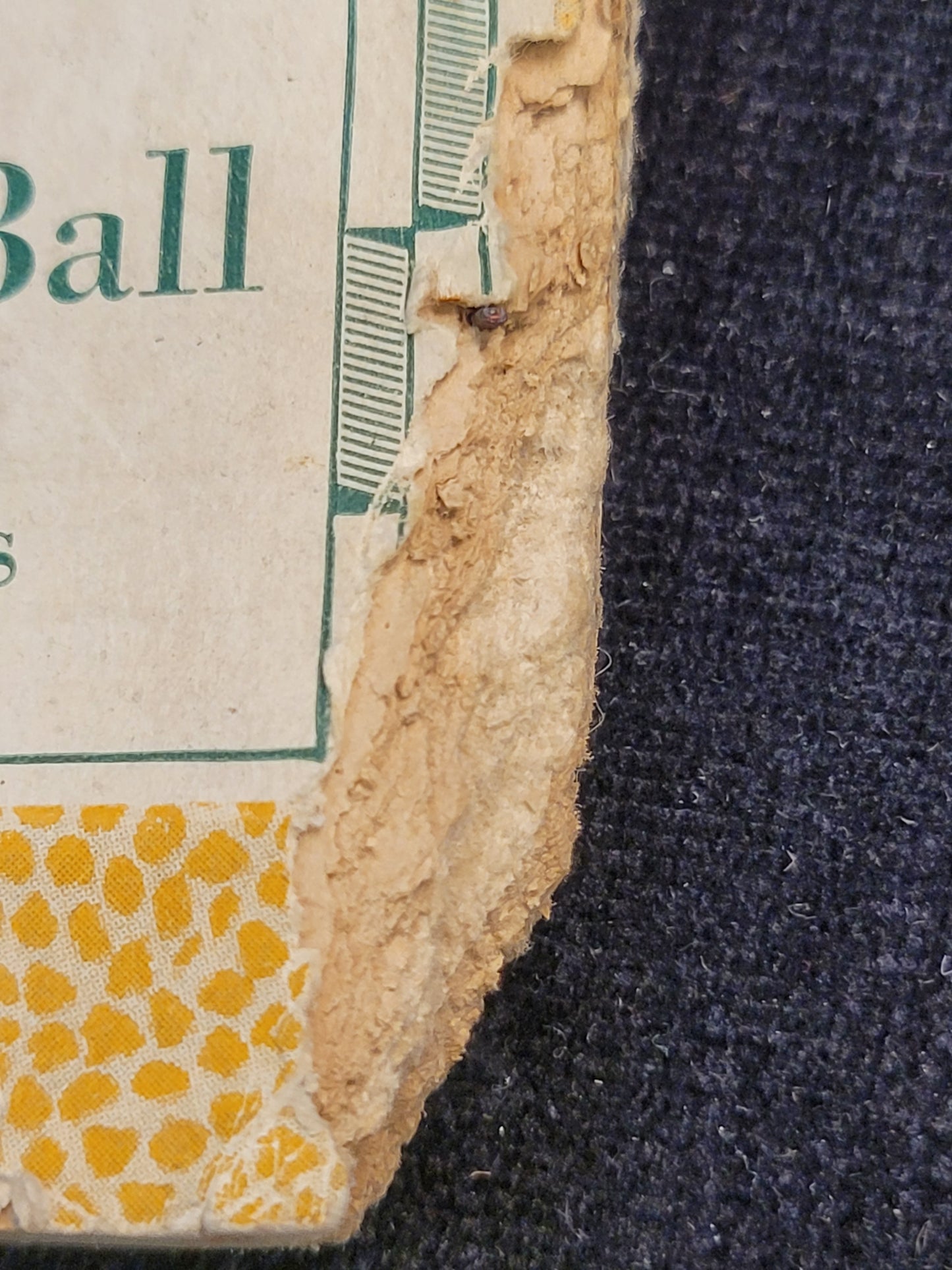 Spalding's Official Intercollegiate Football Guide - 1925