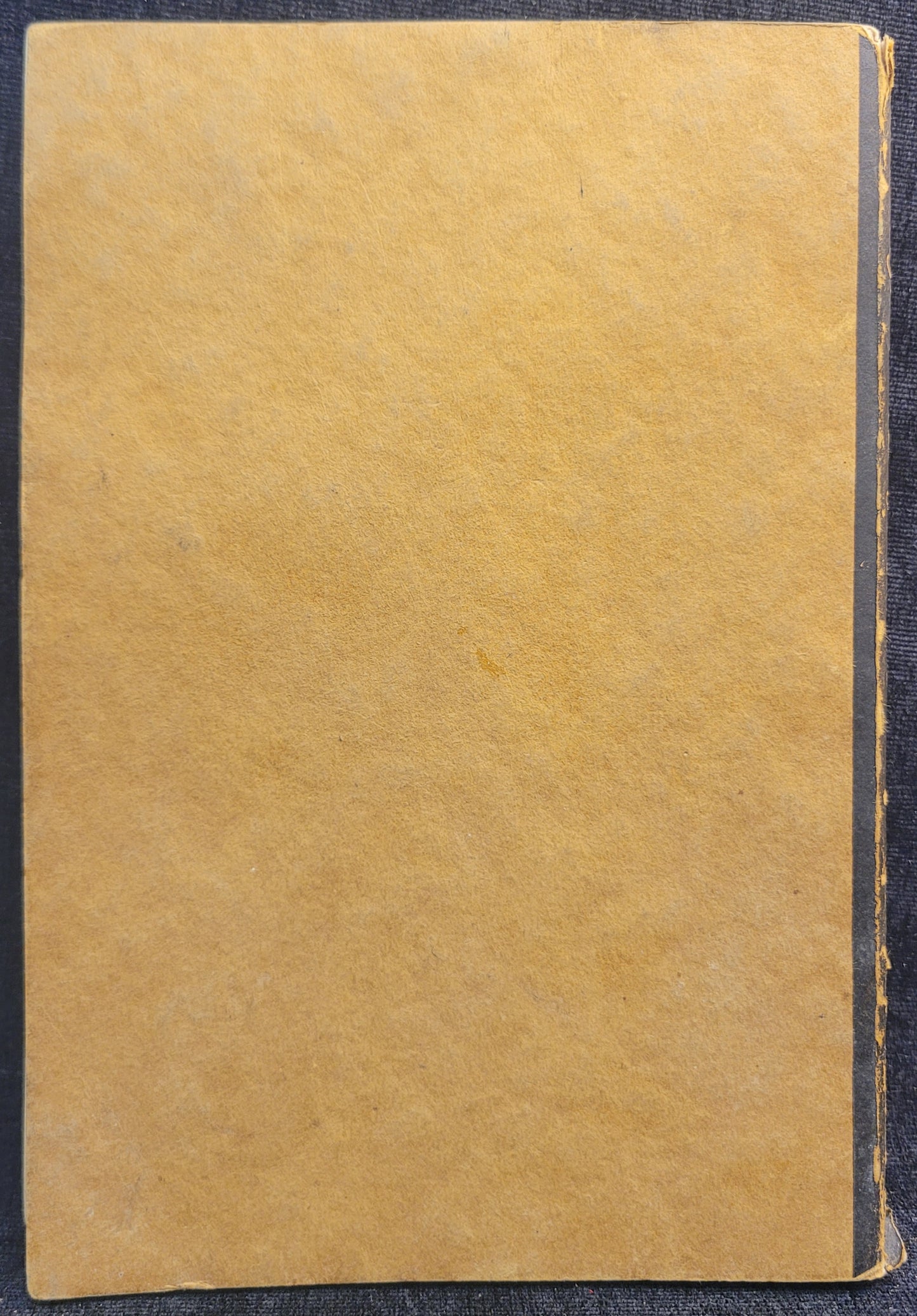 School Program in Physical Education by Clark W. Hetherington - 1922
