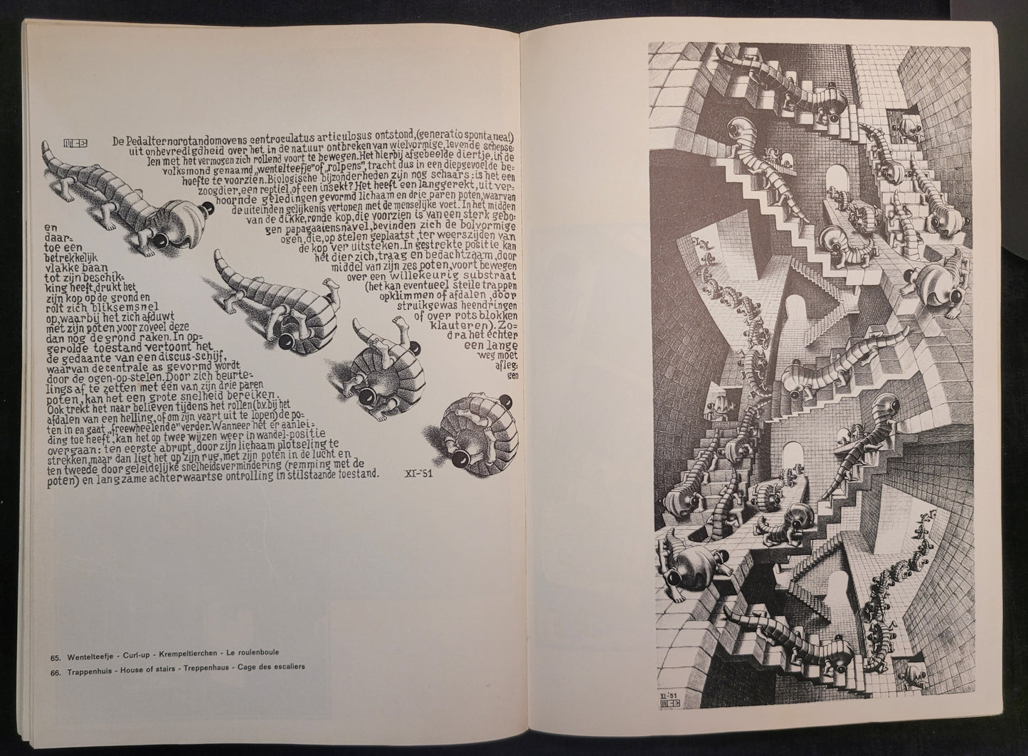 The Graphic Work of M.C. Escher - Printed im 1971 - Hawthorne Press