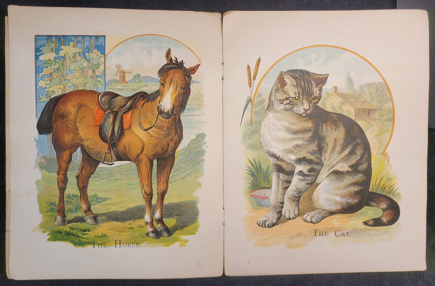 Our Farmyard Friends - 1890s/1900s