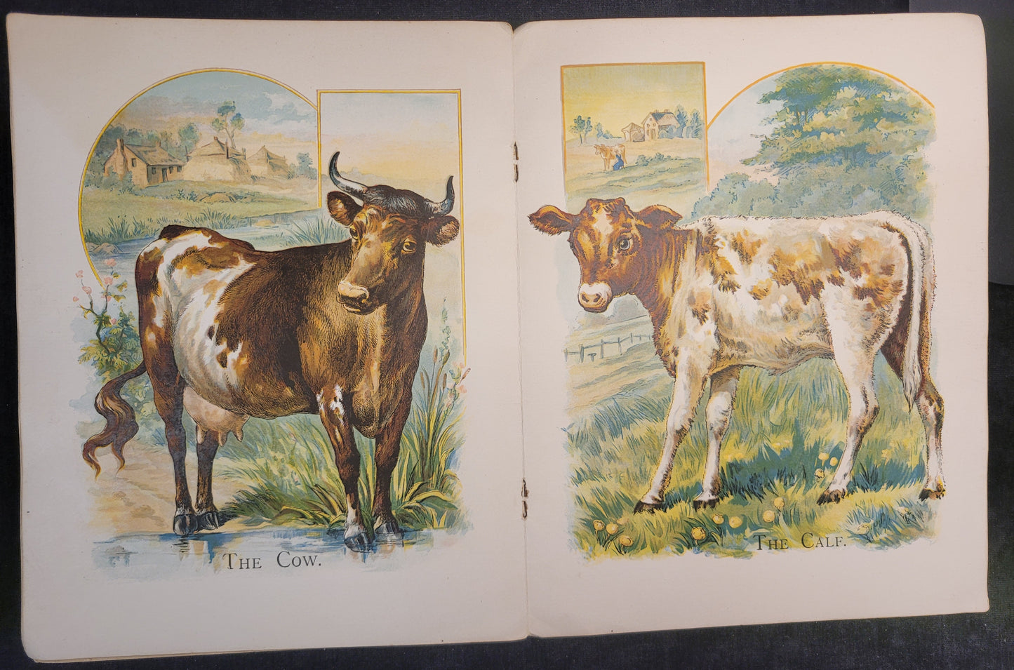 Our Farmyard Friends - 1890s/1900s