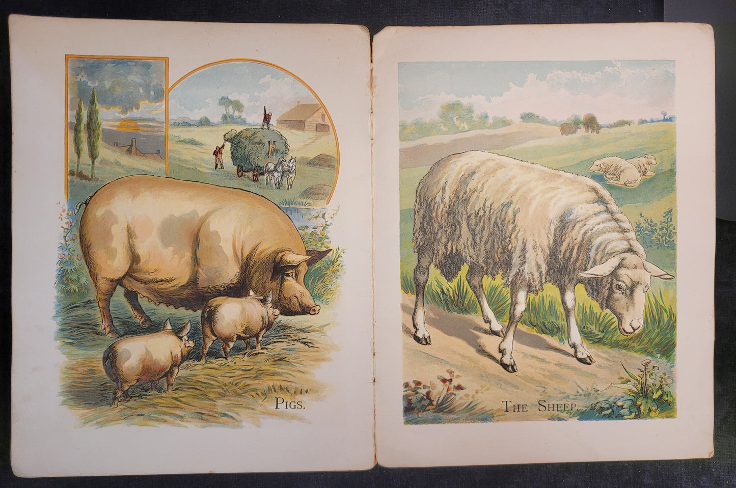 Our Farmyard Friends - 1890s/1900s