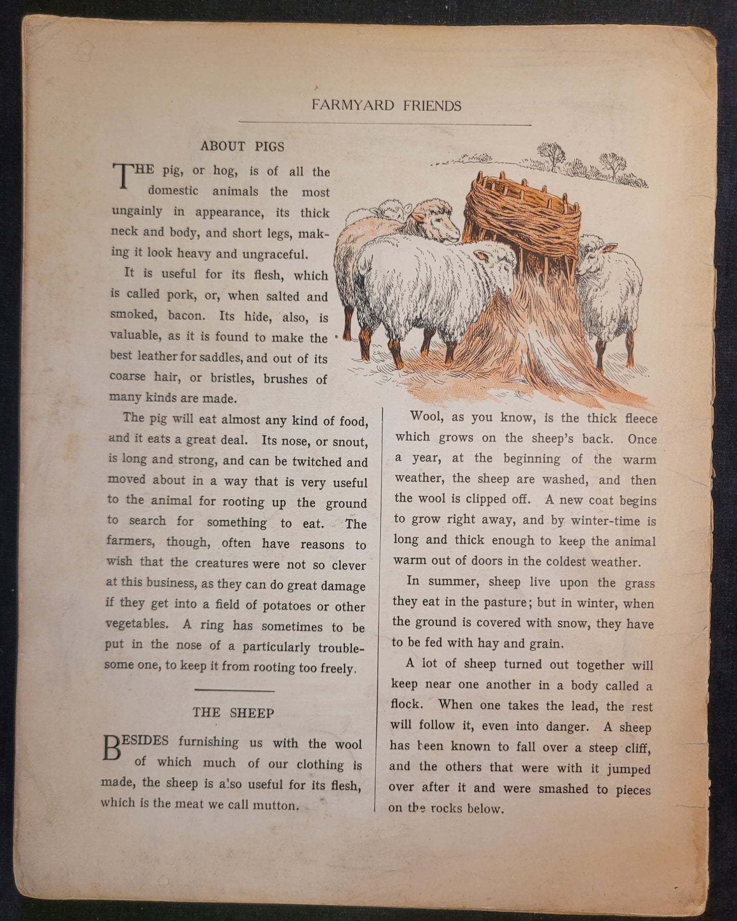 Our Farmyard Friends - 1890s/1900s