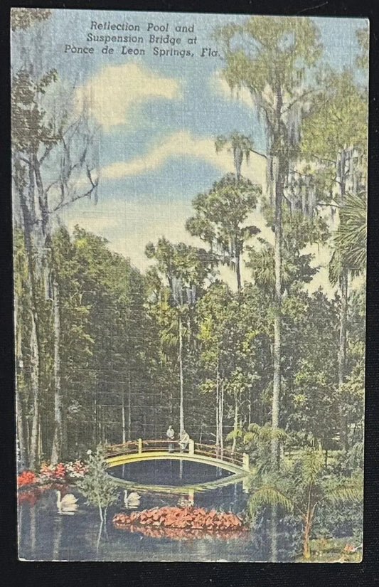 Reflection Pool and Suspension Bridge at Ponce de Leon Springs, Florida - Vintage Postcard