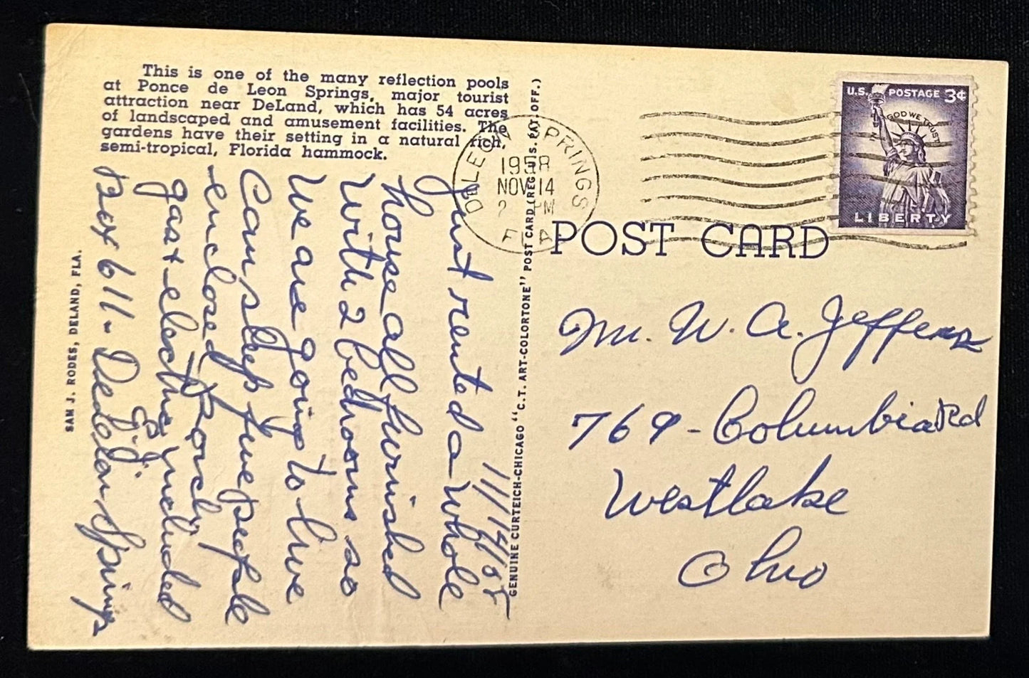 Reflection Pool and Suspension Bridge at Ponce de Leon Springs, Florida - Vintage Postcard