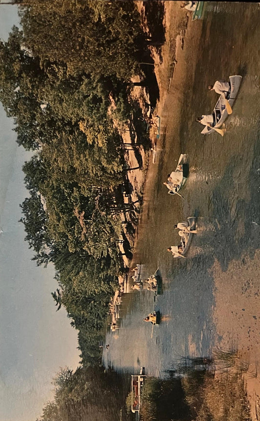 Platte River in Honor, Michigan - Vintage Nature Postcard