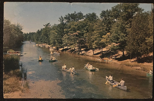 Platte River in Honor, Michigan - Vintage Nature Postcard