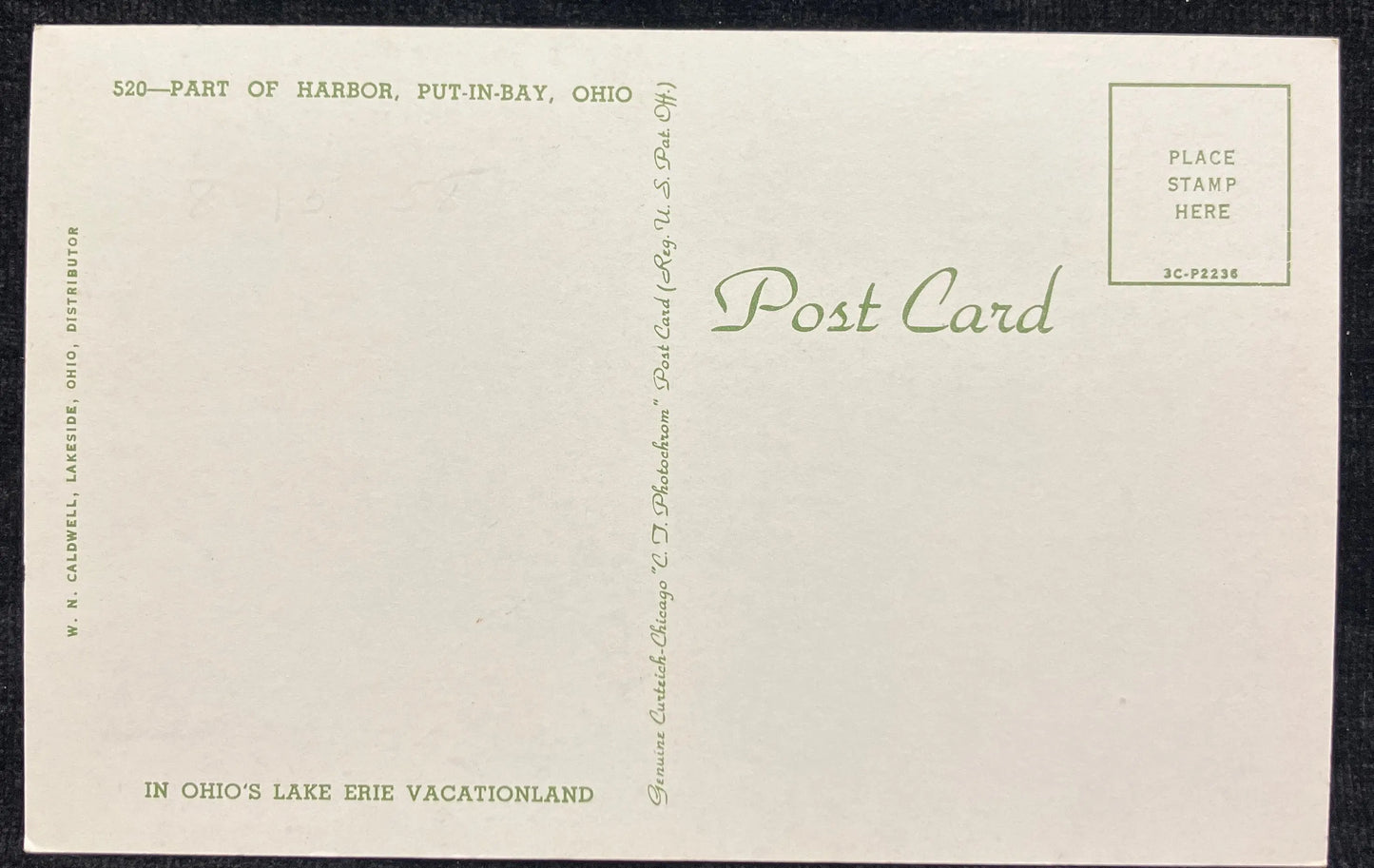 Part of the Harbor, Put-in-Bay, Ohio - Vintage Postcard