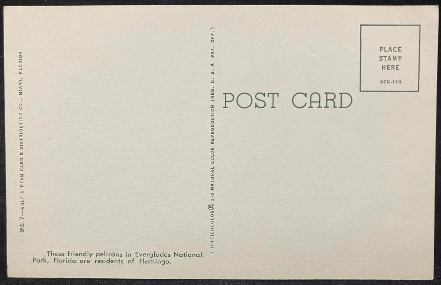 Pelicans at Everglades National Park, Florida - Vintage National Park Postcard