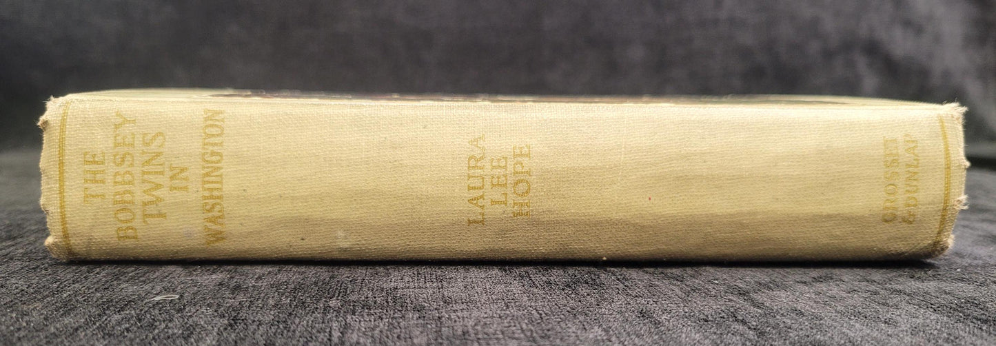 The Bobbsey Twins In Washington - Book 12 - Laura Lee Hope