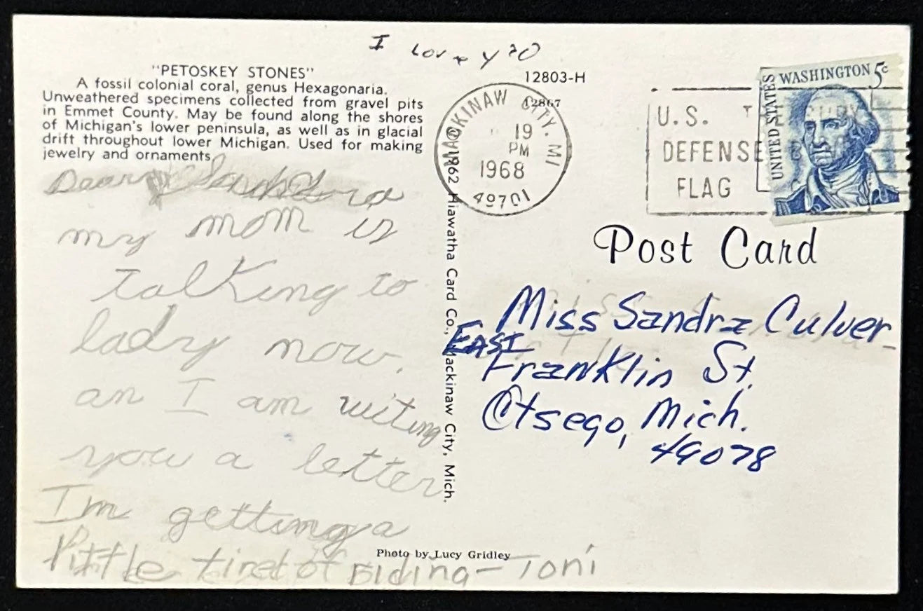 Petoskey Stones - Michigan Vintage Postcard