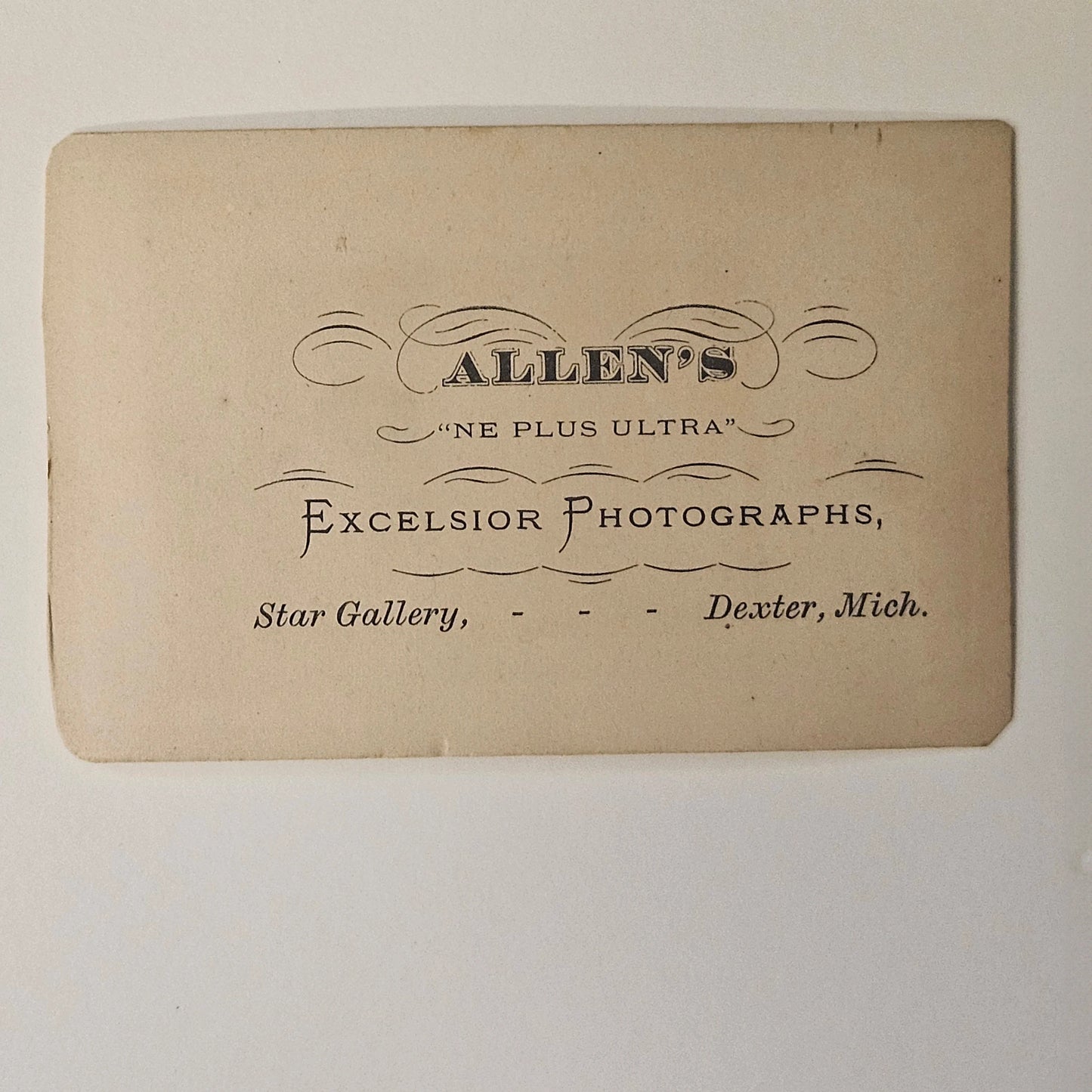 1860s-1870s Carte de Visite of a Woman in Victorian Dress - Michigan Vintage Photography