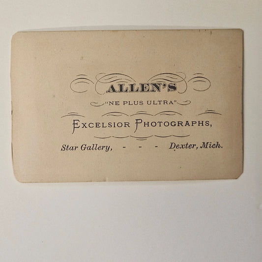 1860s-1870s Carte de Visite of a Woman in Victorian Dress - Michigan Vintage Photography