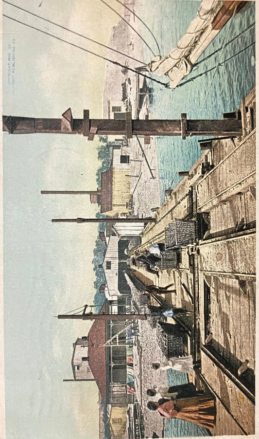 Point Oyster Houses, Biloxi, Mississippi - Copyright 1906 By Detroit Publishing Co. - Vintage Postcard