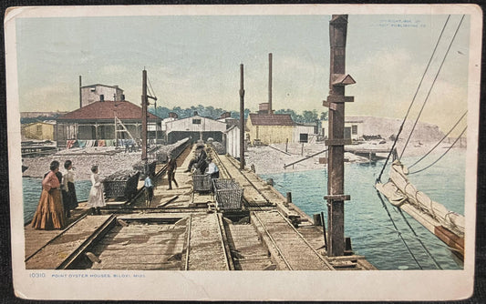 Point Oyster Houses, Biloxi, Mississippi - Copyright 1906 By Detroit Publishing Co. - Vintage Postcard