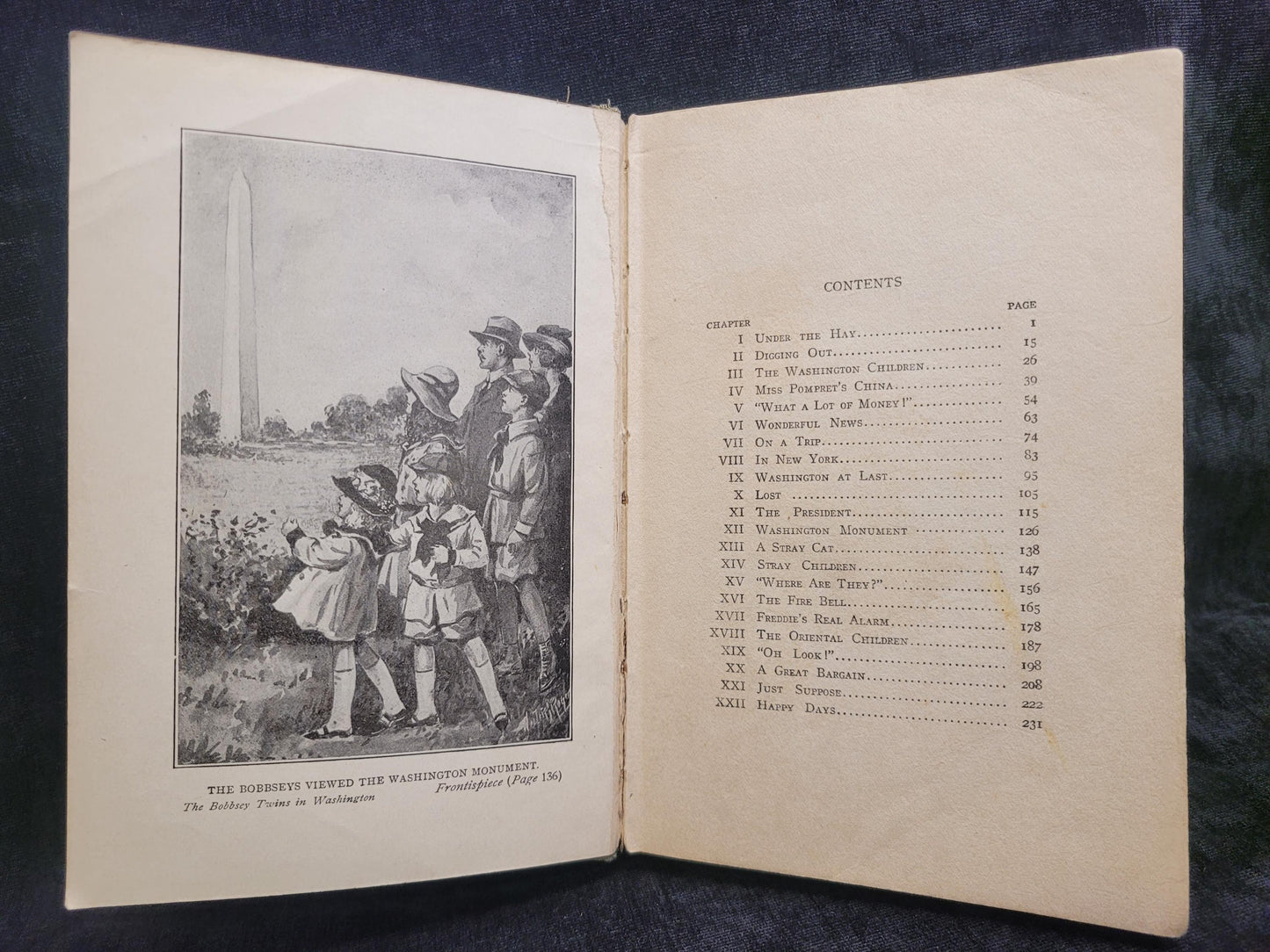 The Bobbsey Twins In Washington - Book 12 - Laura Lee Hope