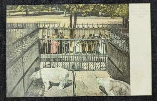 Polar Bears at Belle Isle Park in Detroit, Michigan - Vintage Zoo Postcard