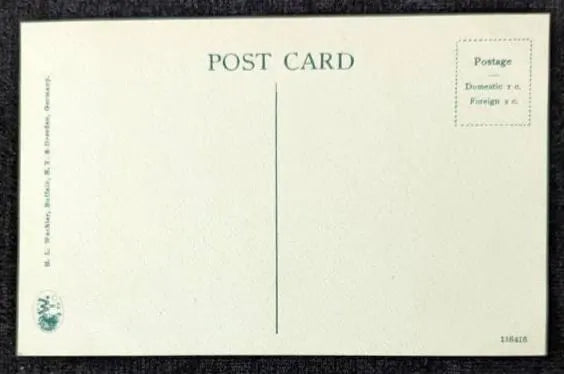 Polar Bears at Belle Isle Park in Detroit, Michigan - Vintage Zoo Postcard
