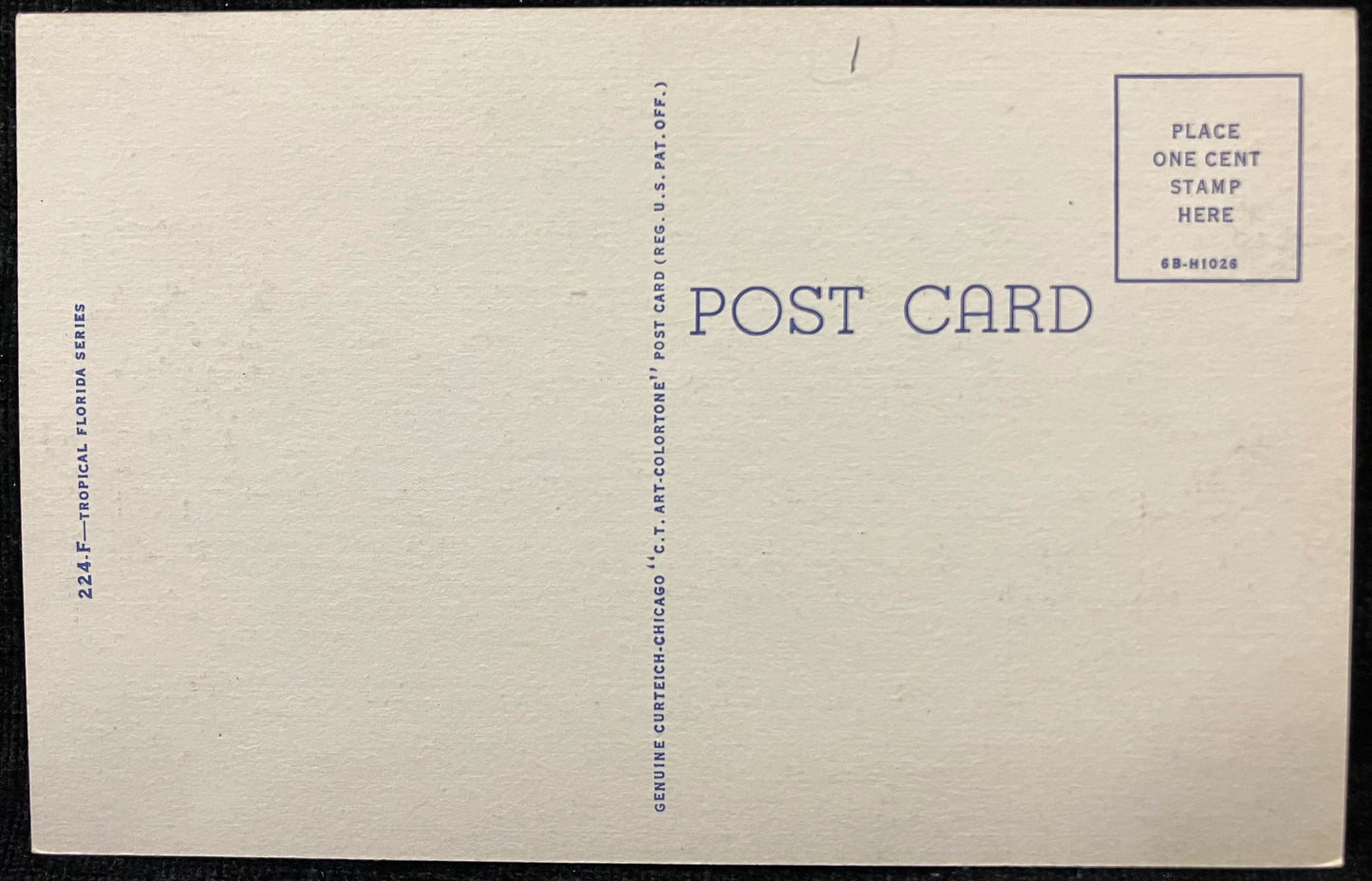 Royal Palms along a Waterfront Estate in Florida - Vintage Scenic Postcard