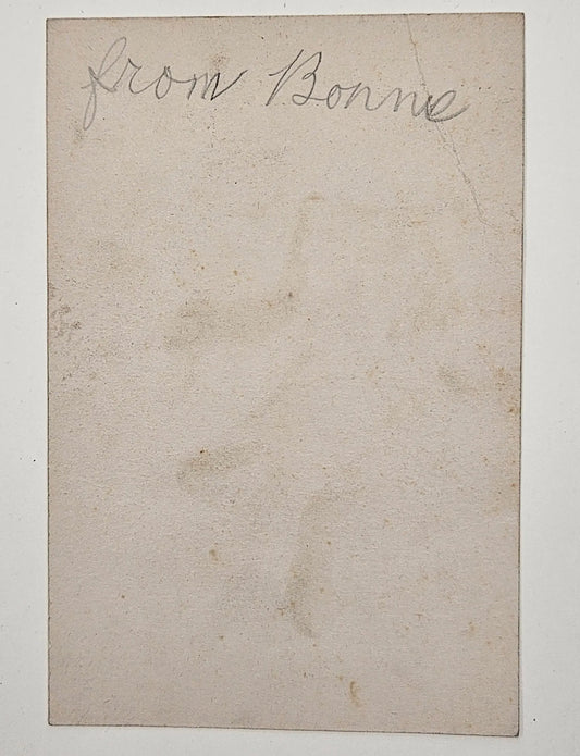 Children Looking at Monkey Sitting in Christmas Tree With Ornaments and Candles - "Wishing You A Jolly Good Christmas" - Christmas Postcard