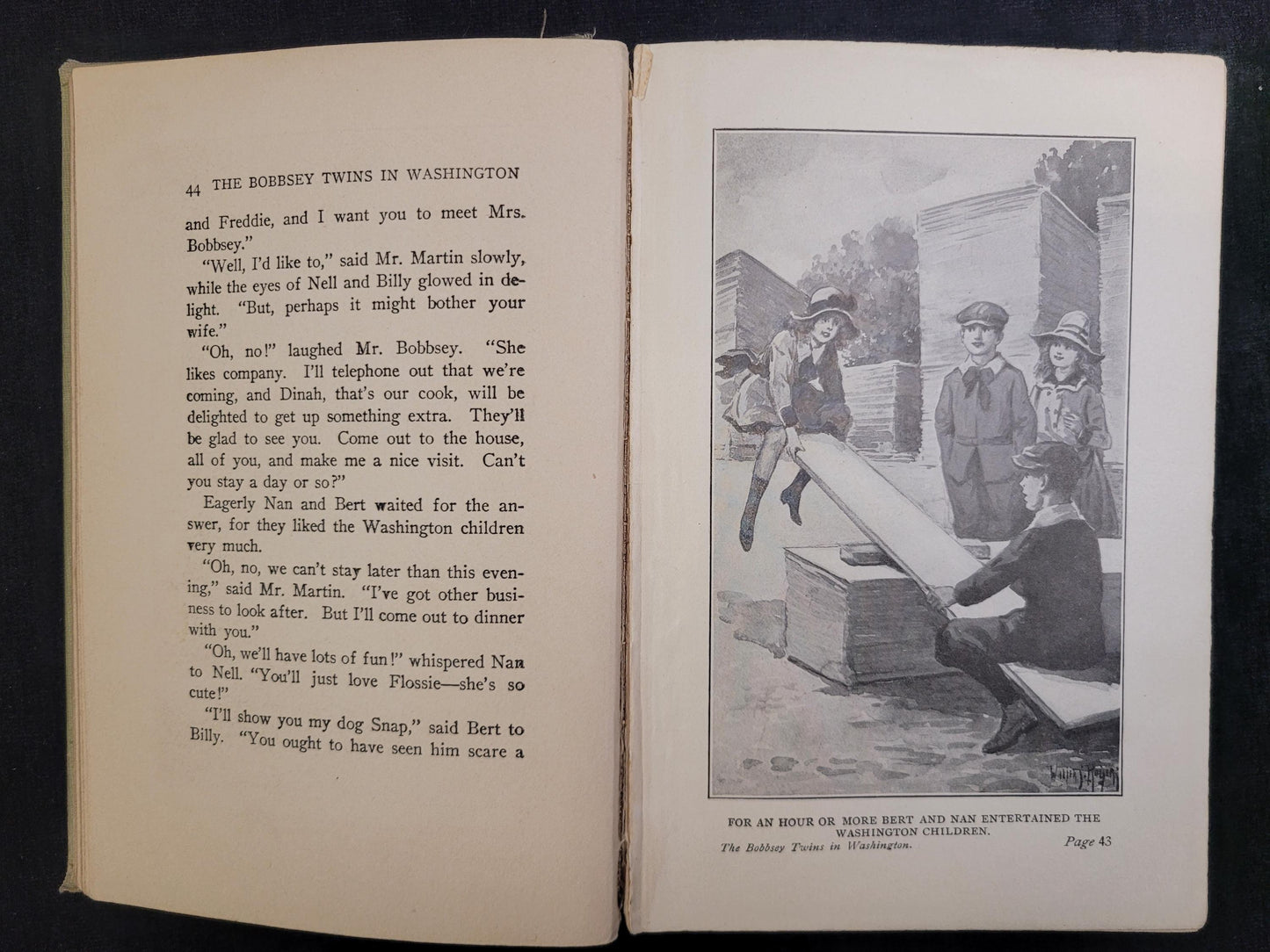 The Bobbsey Twins In Washington - Book 12 - Laura Lee Hope