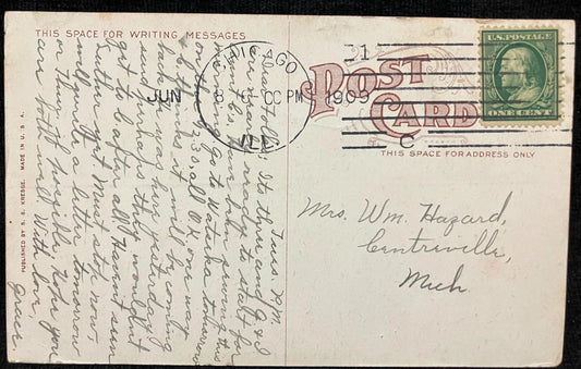 Lily Pond, Lincoln Park, Chicago, Illinois - Vintage Park Postcard Chicago Lincoln Park in 1900 - La