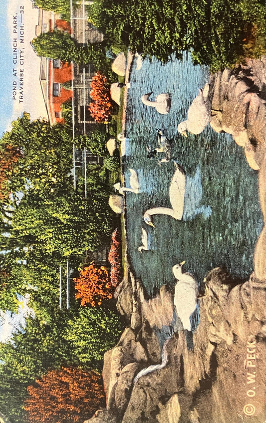 Pond at Clinch Park, Traverse City, Michigan - Copyright: O. W. Peck - Vintage Park Postcard