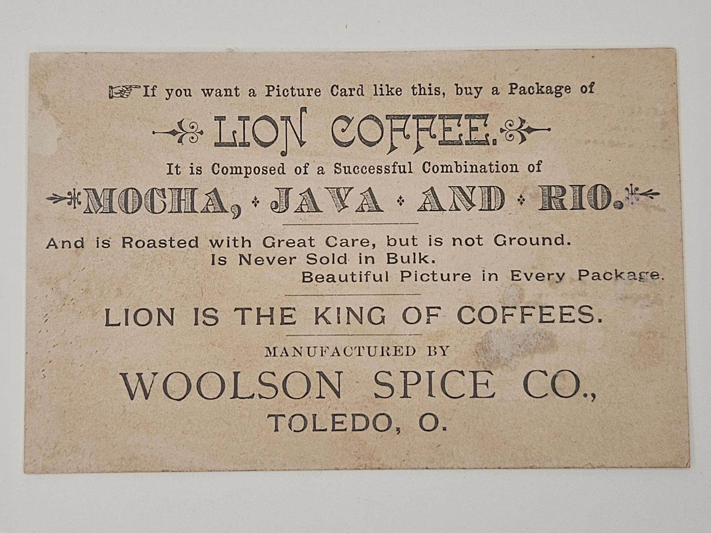 Lion Coffee, Woolson Spice Co. Trade Card -Botanical Illustration, Floral Arrangement in Vase