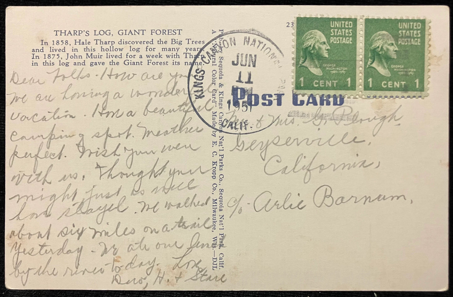 Tharp’s Log, Giant Forest - Sequoia National Park, California - Vintage 1951 Postcard - Tharp was friend of John Muir