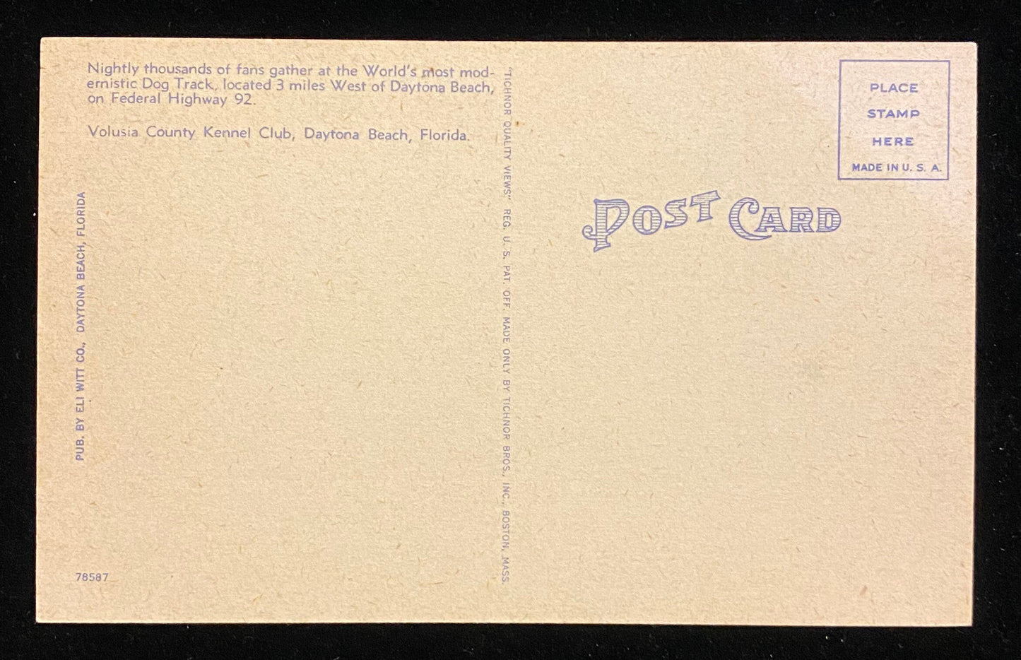 Nightly crowd at the Volusia County Kennel Club Dog Track, Daytona Beach, Florida - Vintage Dog Racing Postcard
