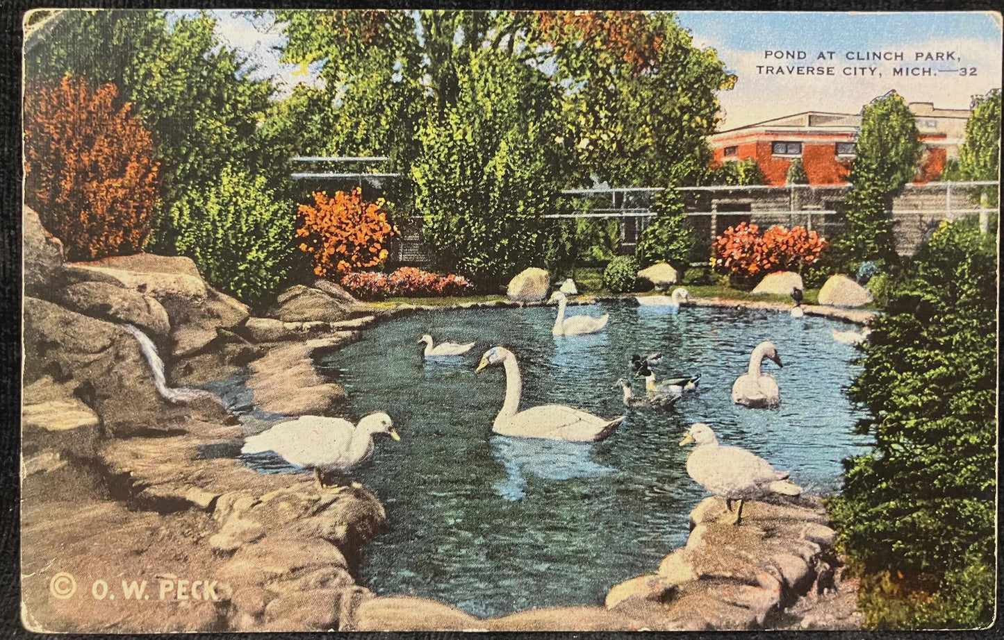 Pond at Clinch Park, Traverse City, Michigan - Copyright: O. W. Peck - Vintage Park Postcard