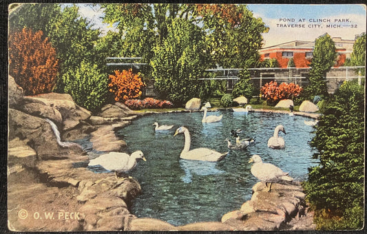 Pond at Clinch Park, Traverse City, Michigan - Copyright: O. W. Peck - Vintage Park Postcard