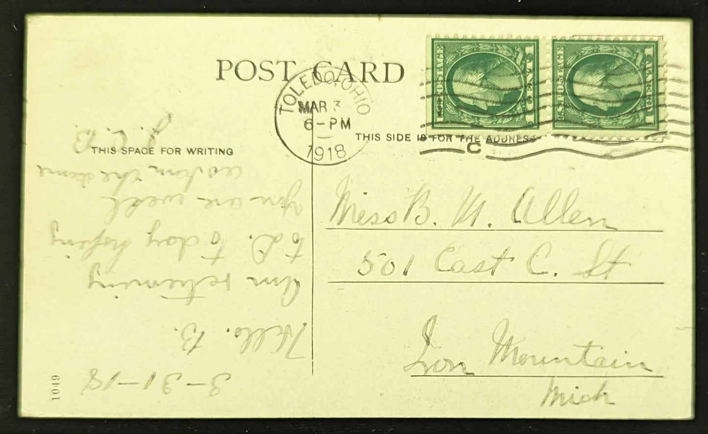 Lotus Field on Toledo Beach Electric Line, Ohio - Vintage Ohio Postcard -Filds of Lotus Flowers