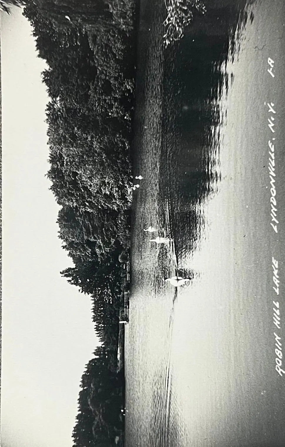 RPPC -Ducks Swimming on Robin Hill Lake, Lyndonville, New York - Vintage Postcard