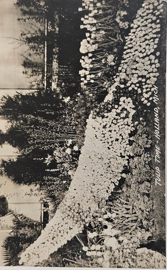 RPPC- Holland, Michigan Tulip Festifal Display -Vintage advertising Postcard