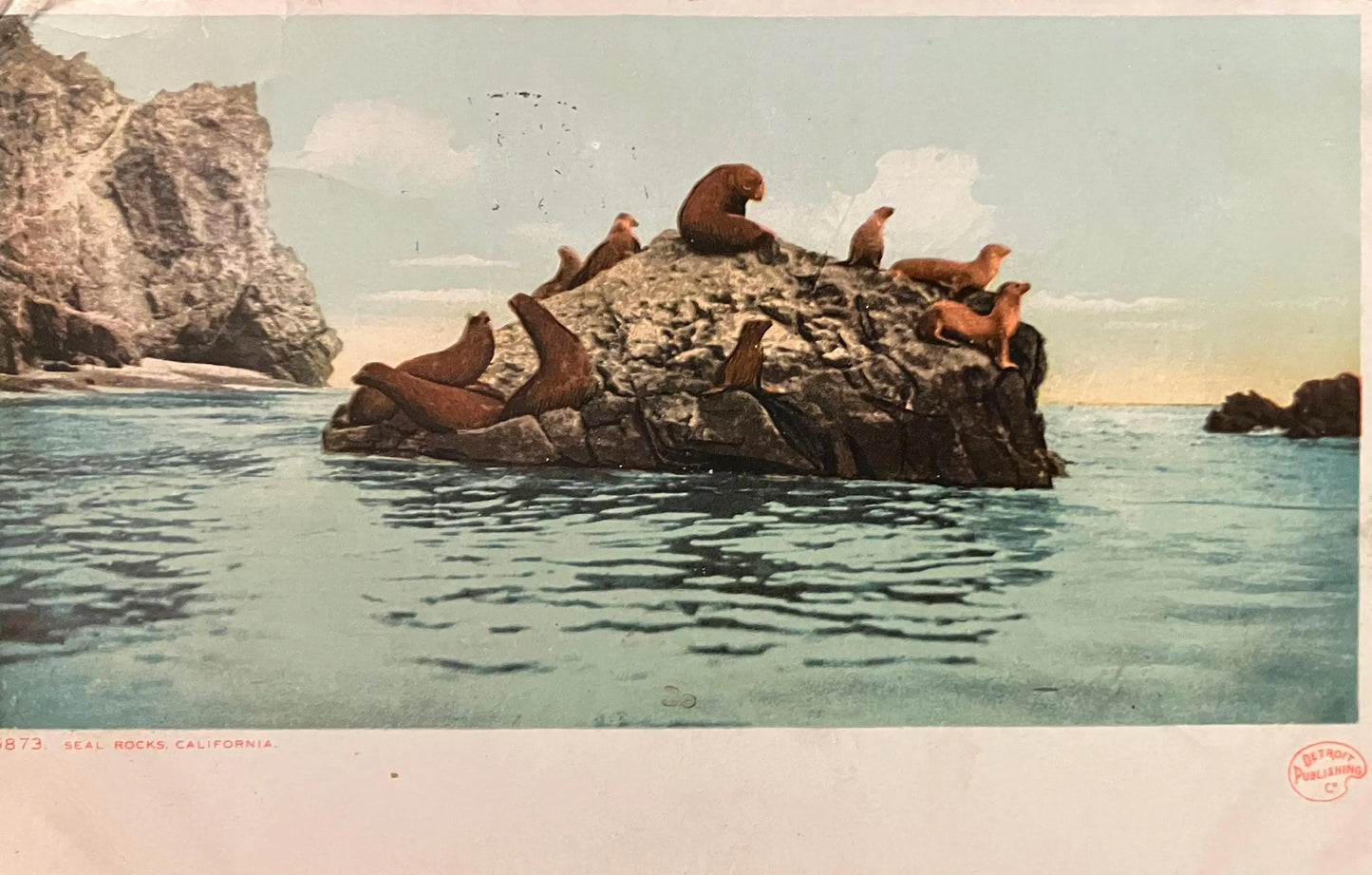 Seal Rocks, California. - Pacific Coast Beach Wildlife in 1911- Vintage Pacific Coast Postcard