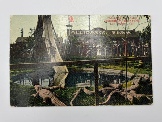 A vintage postcard depicting the Alligator Farm in L.A.