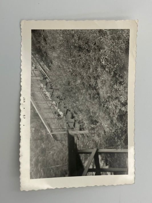 Manitou and Pikes Peak Open-Air Cable Car on Incline - 1957 B&W Photo Colorado