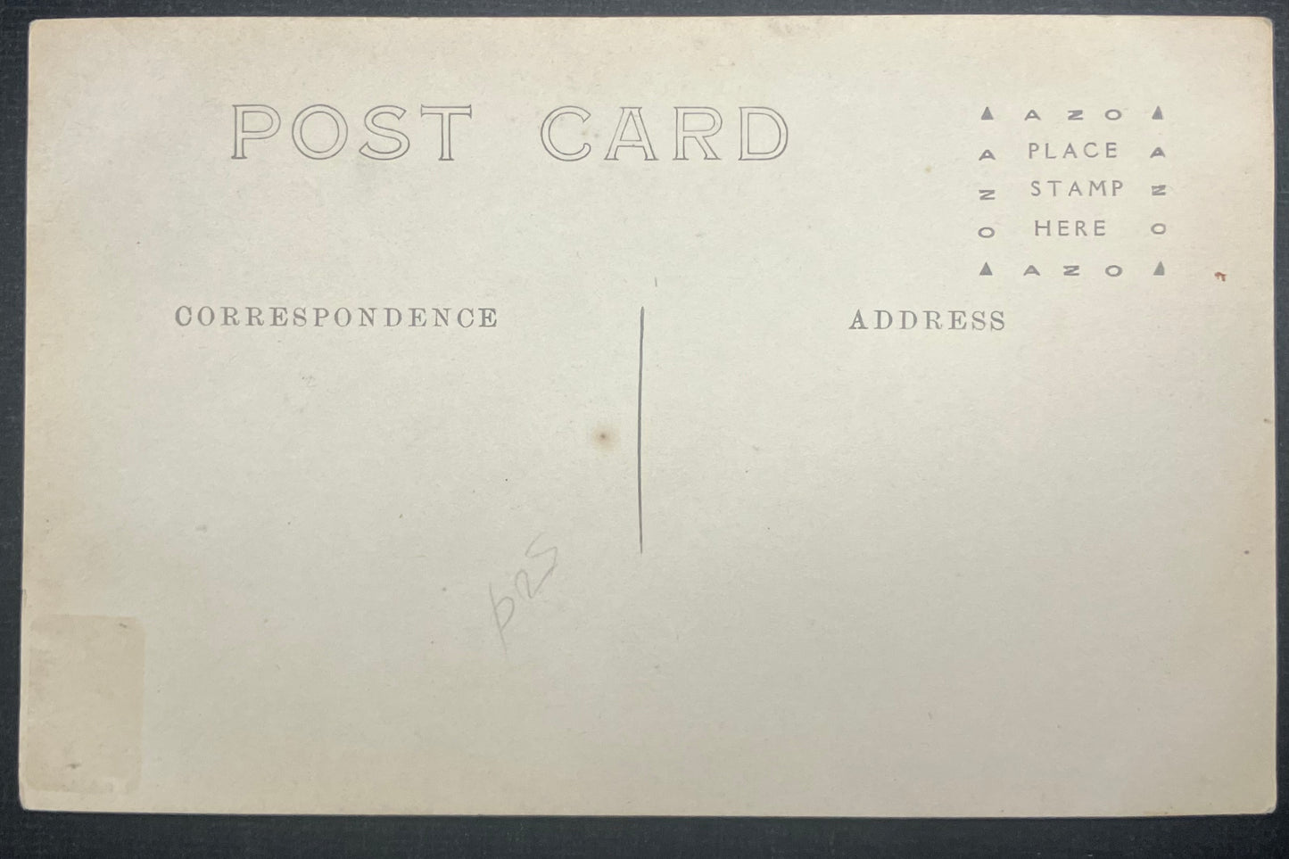 Young Boys in Play Clothes in Front of Ivy Covered Wall - 20th Century RPPC - 1907-1918 Post Card