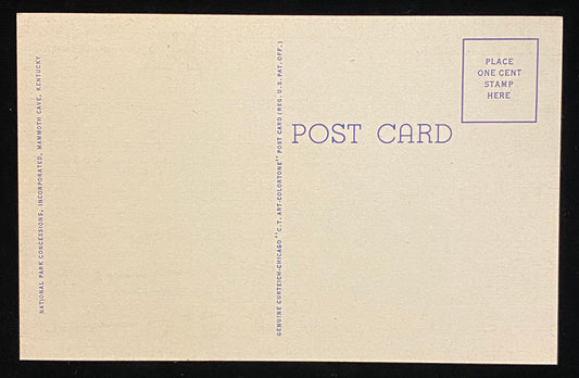 Front: Historic Entrance to Mammoth Cave, Ky. Back: None Condition: Great condition 1930s Unmailed Color: Hand color Publisher: Genuine Curteich-Chicago